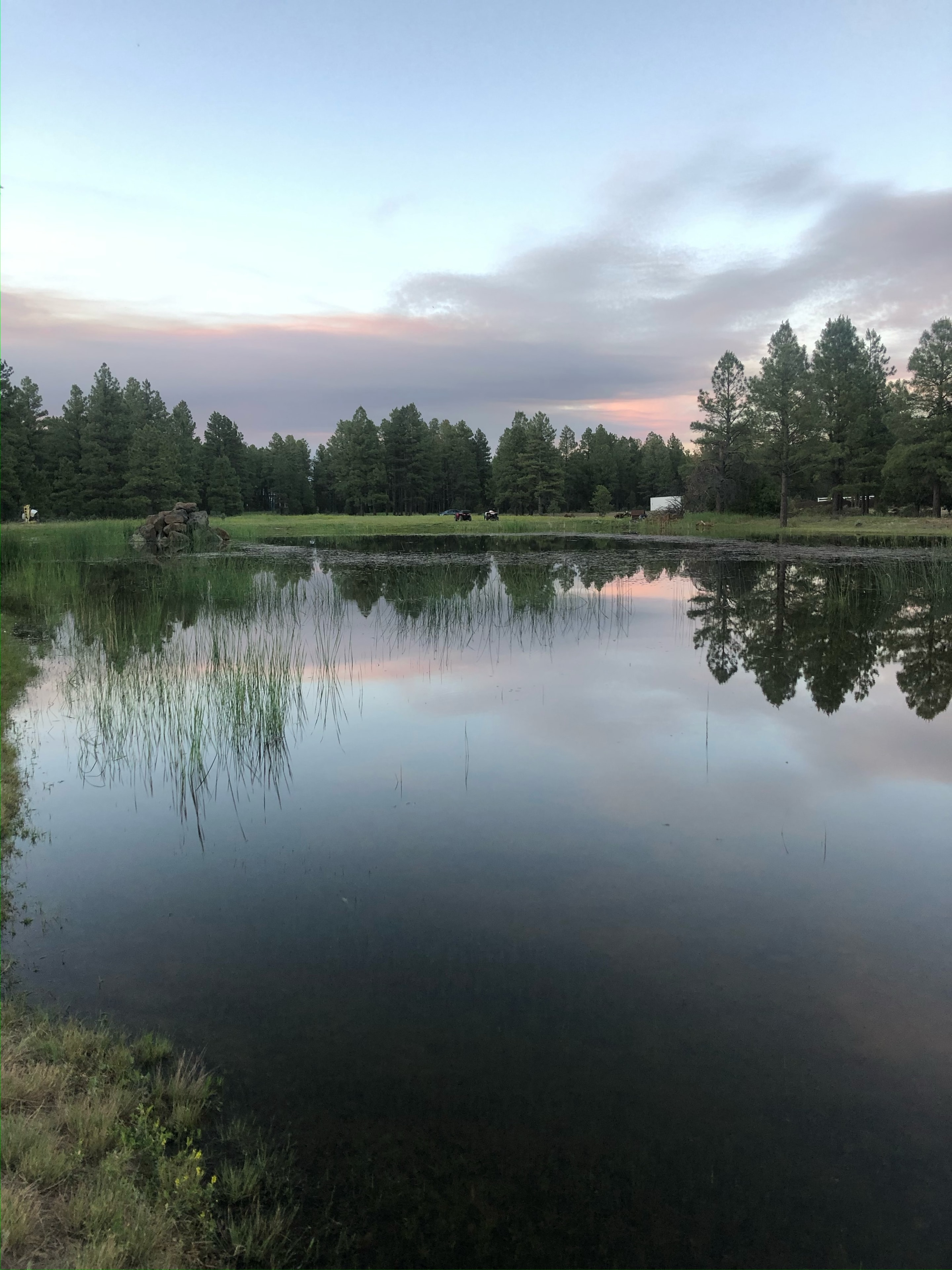 Serene pond at sunset with pine trees and rainbow reflection